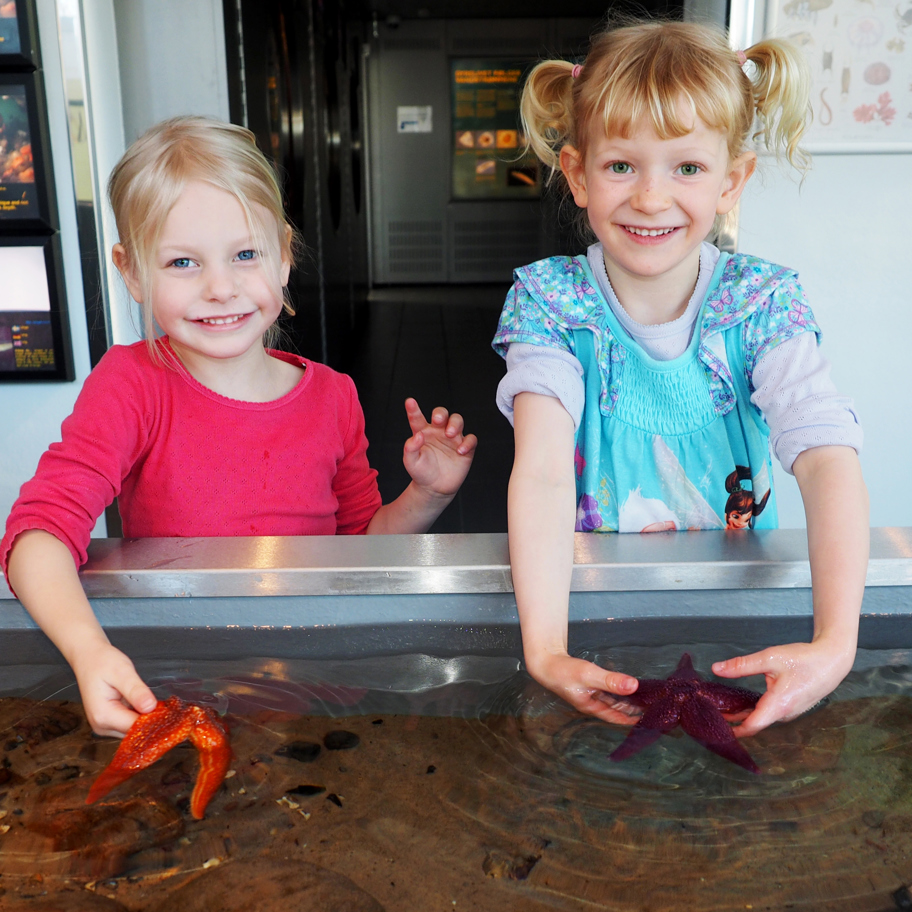 Børnerørebassinet_Fotograf Tania Lundberg Lykkegaard.jpg