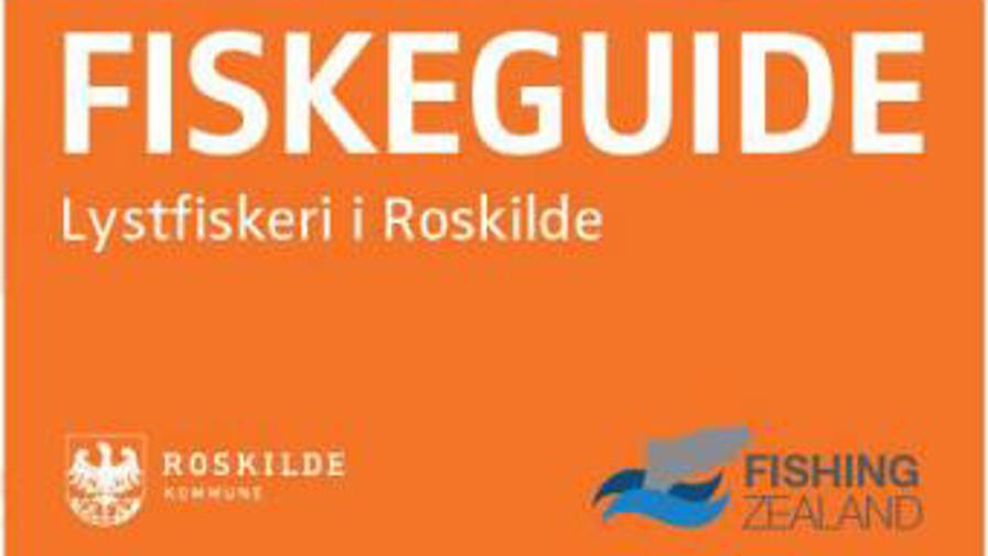 fiskeguide.JPG