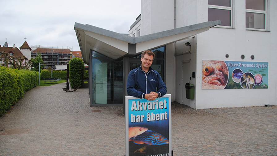 DSC_0460.JPG