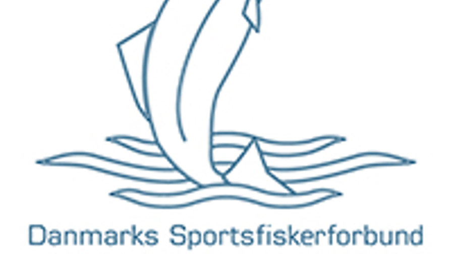 DSF_logo copy.jpg