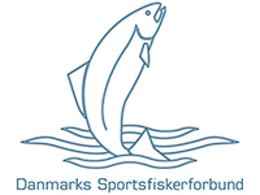 DSF_logo copy.jpg