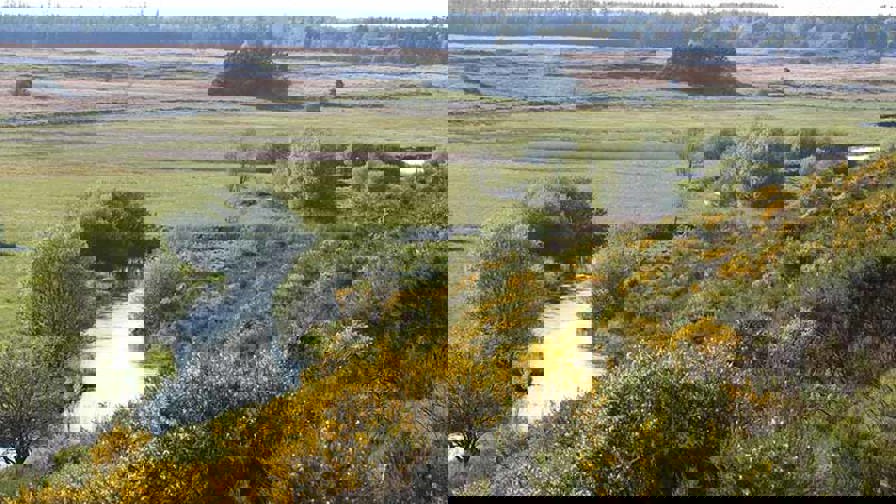 gelsaa 549 aftægten_edited-2_0.jpg