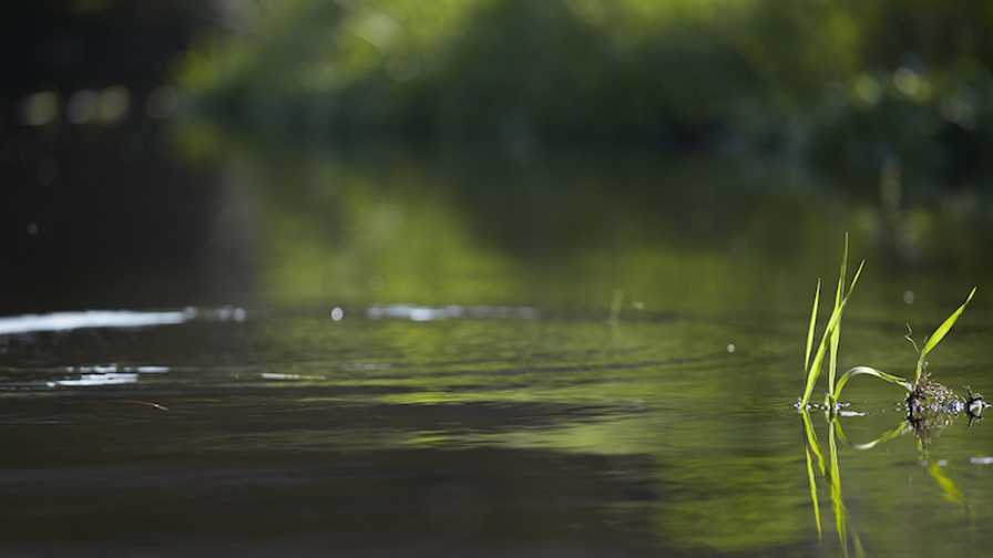 2014.05.20.Danmarks Sportsfiskerforbund123670.jpg