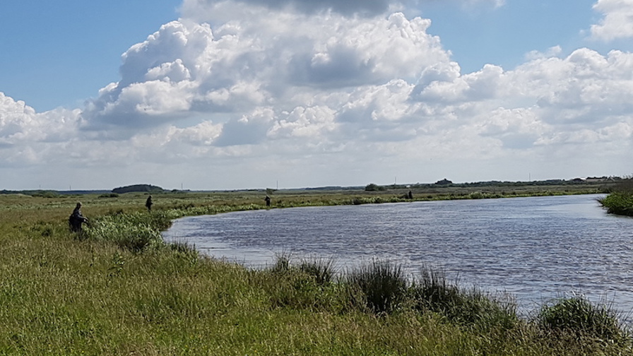 20170610_102250.jpg