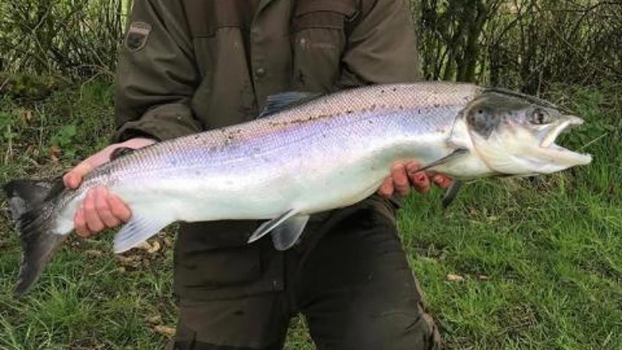 Skærmbillede 2017-04-17 kl. 18.22.23 copy.jpg