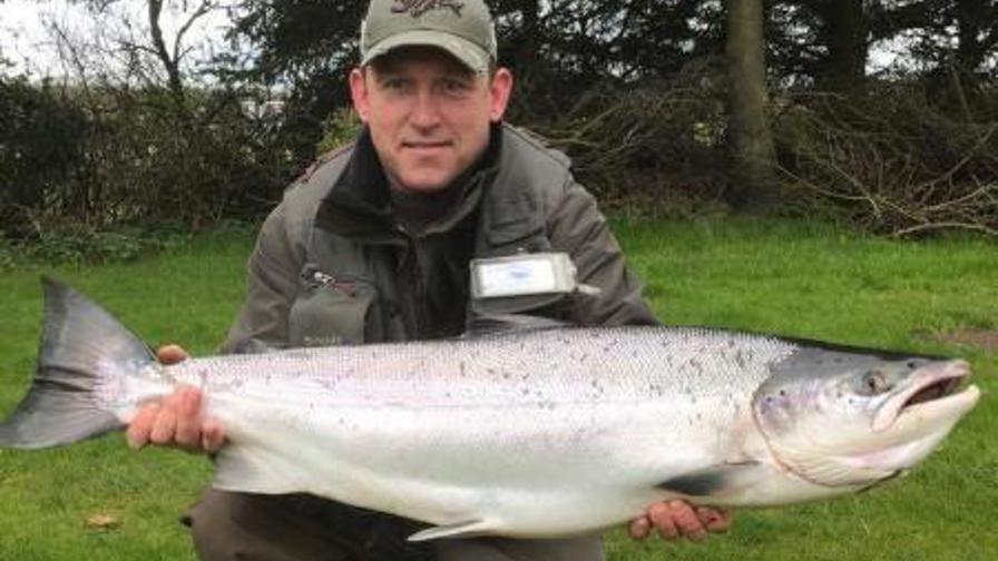 laks allan Jacobsen 88,5 cm 8,7 kg_2344 (2).JPG