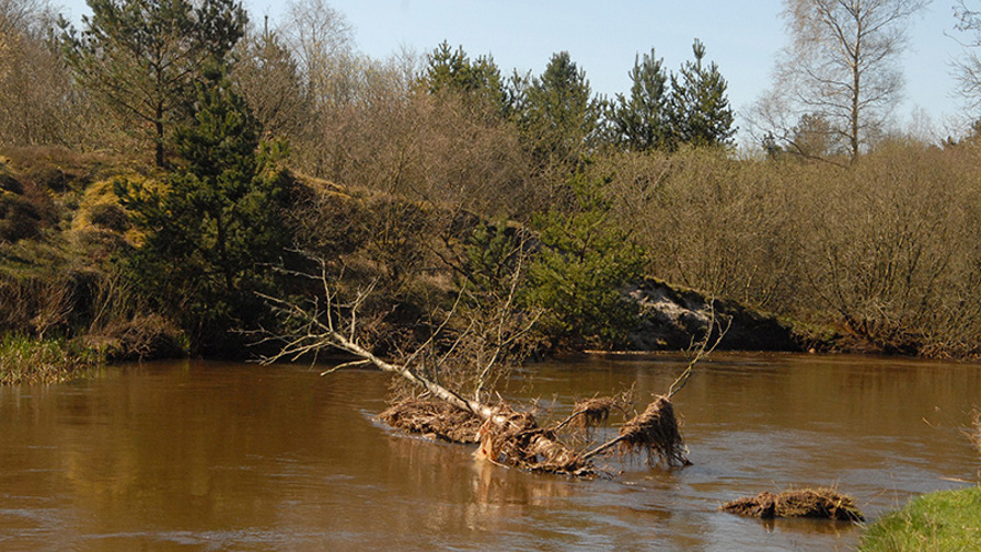 DSC_0056_2.JPG