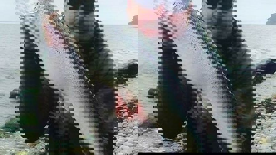 knud_0.jpg