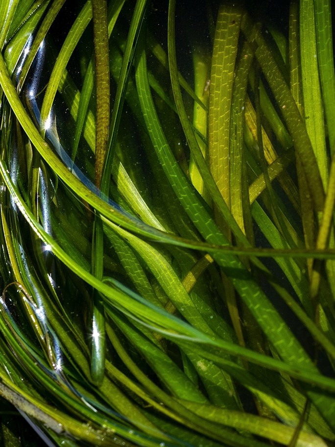 DSCF8734