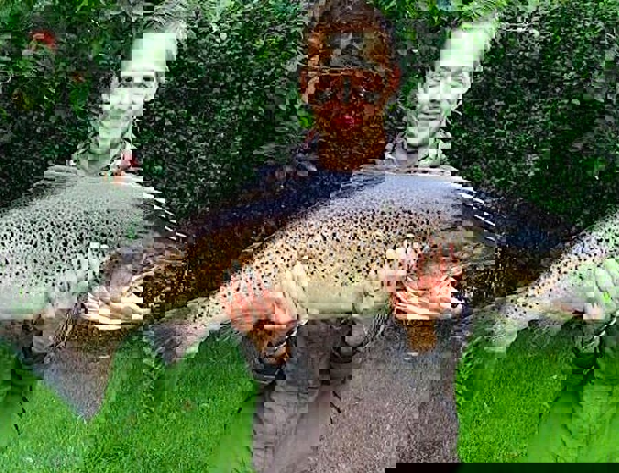 2_91.jpg