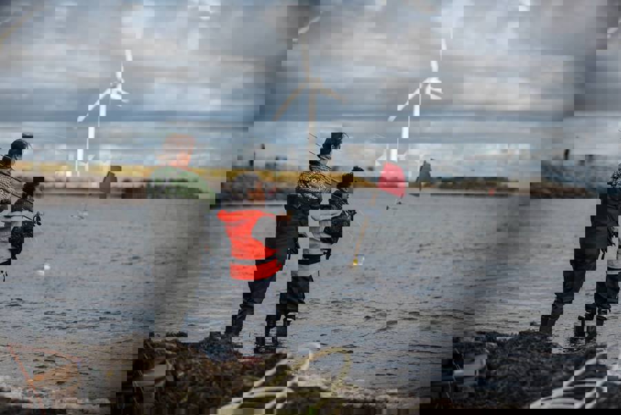 amager2.jpg