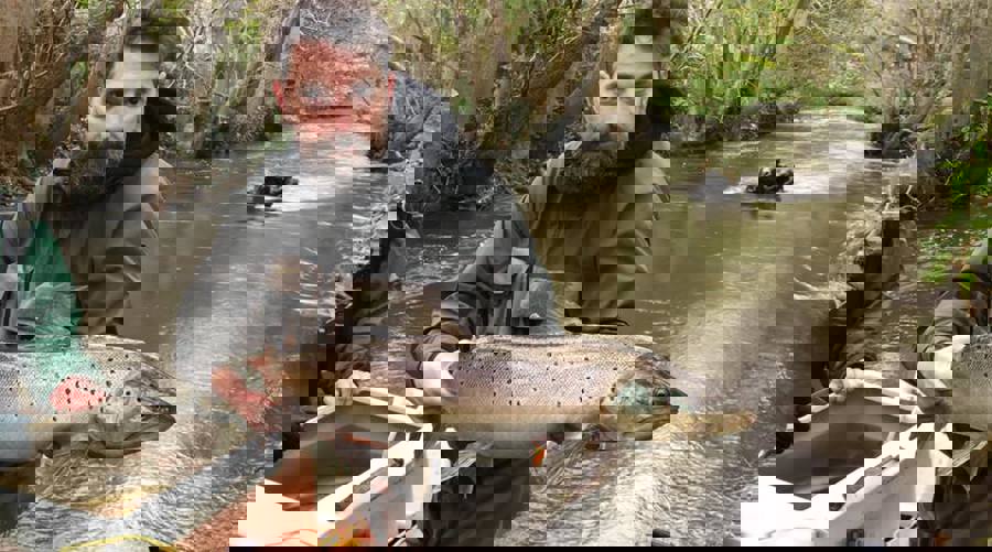 elfiskeri 2.jpg