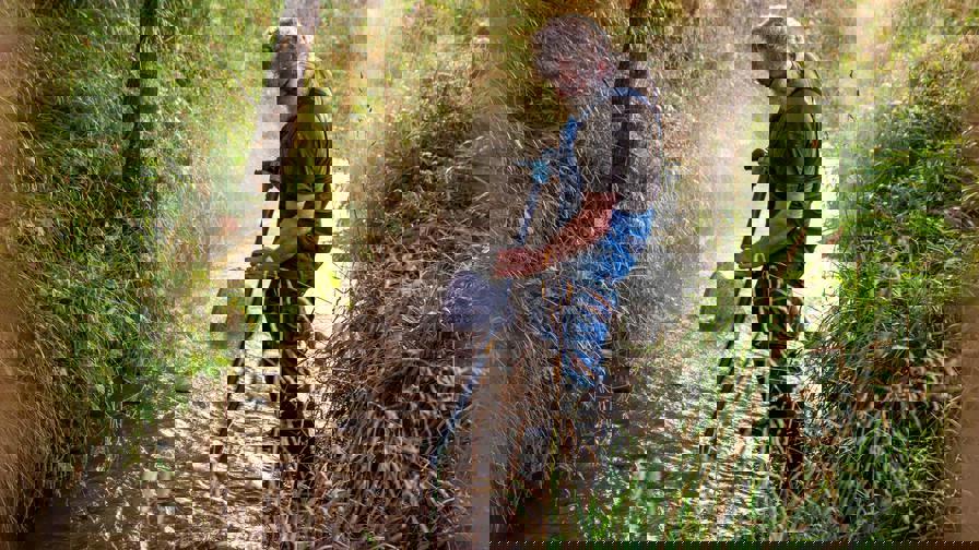 11885651_722679961192580_3752101071784174840_o.jpg