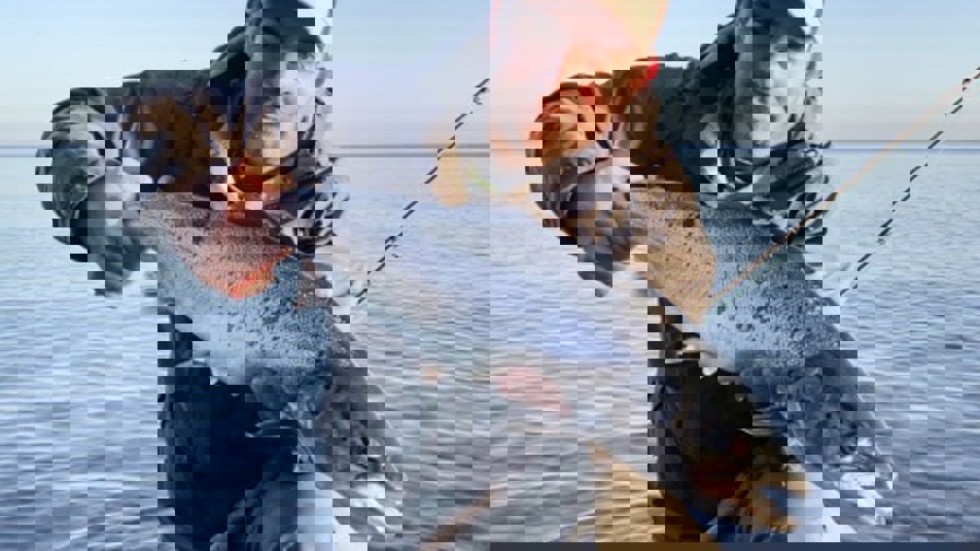 allan3.jpg