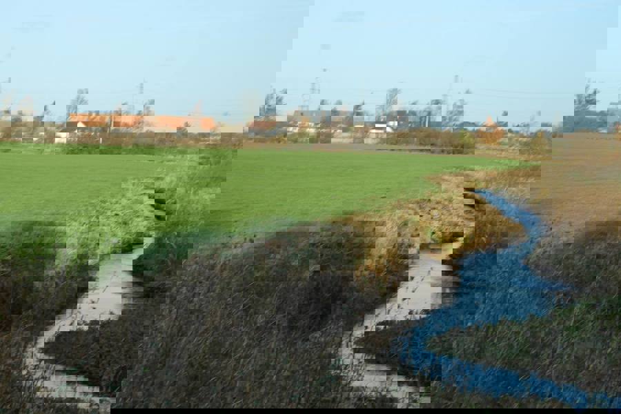 havelse4.jpg