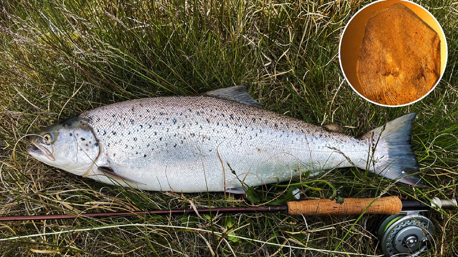 Skærmbillede 2024 01 02 Kl. 13.50.14