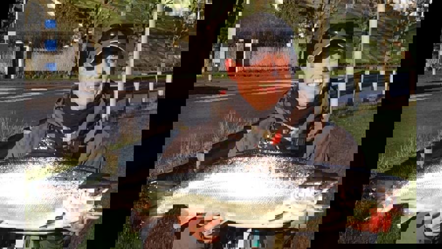mortensax1.jpg