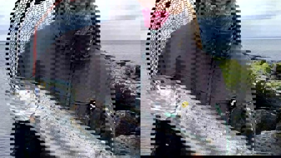 25105747_10155682505625225_1993430421_n.jpg