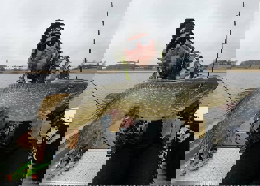 nick1.jpg