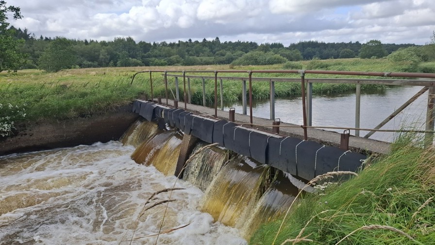 Opstemning Forvirringen