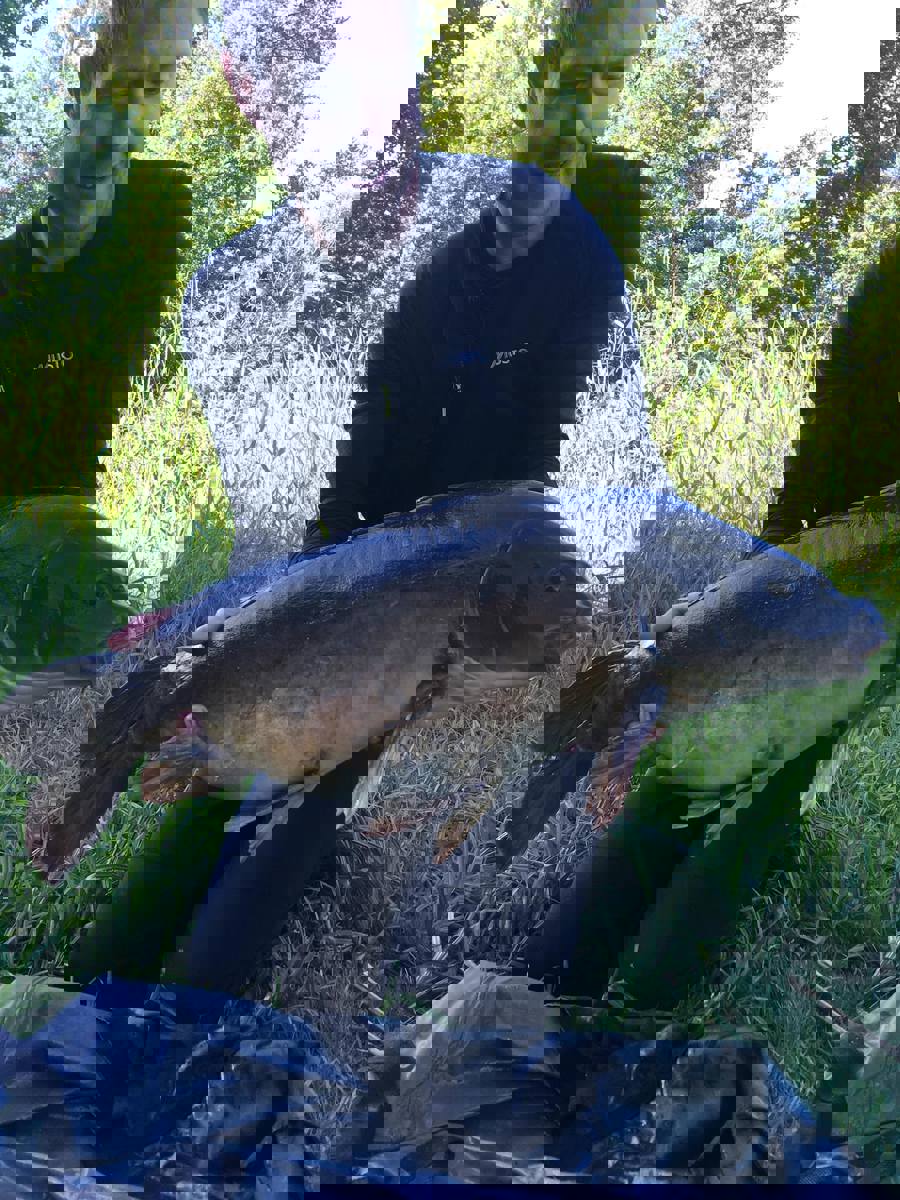 toke.jpg