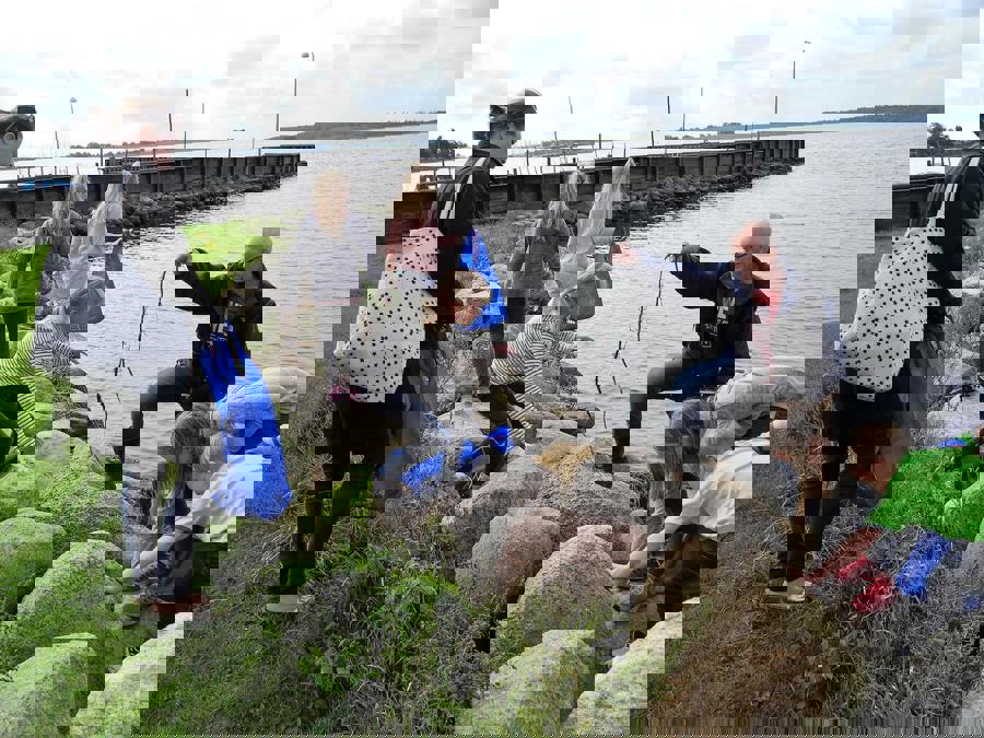 plastfri.jpg