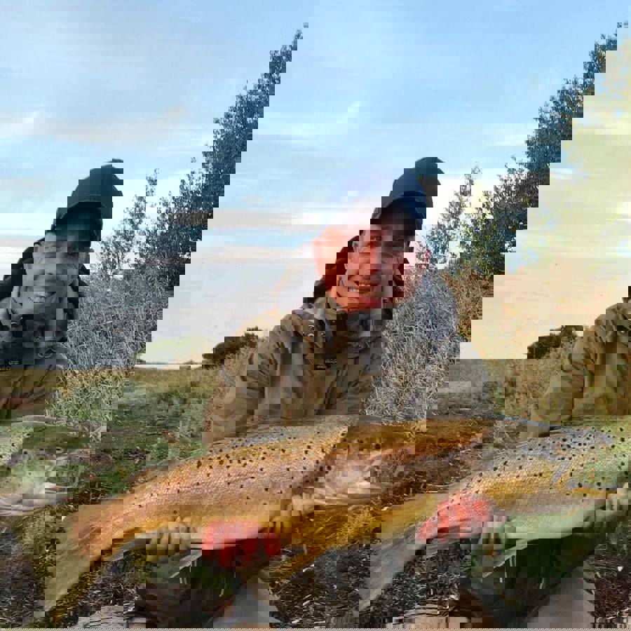 jonas3.jpg