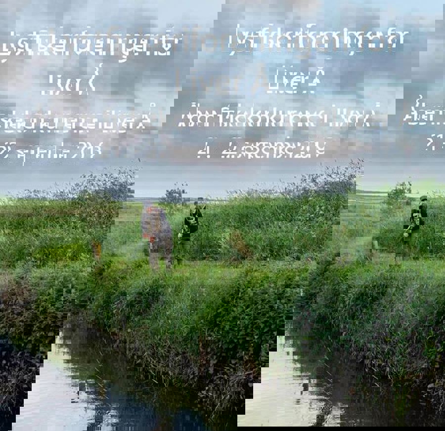 40655317_2056648444633343_4017574397941383168_n.jpg