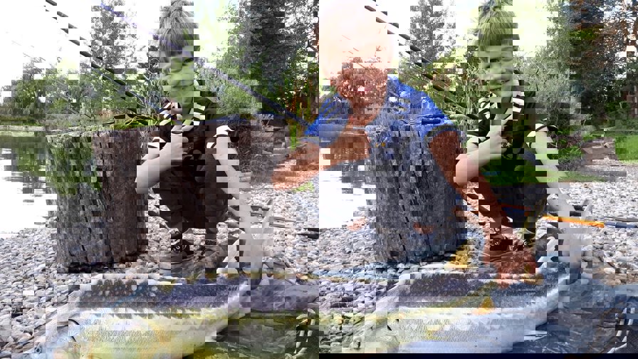 kaj1.jpg