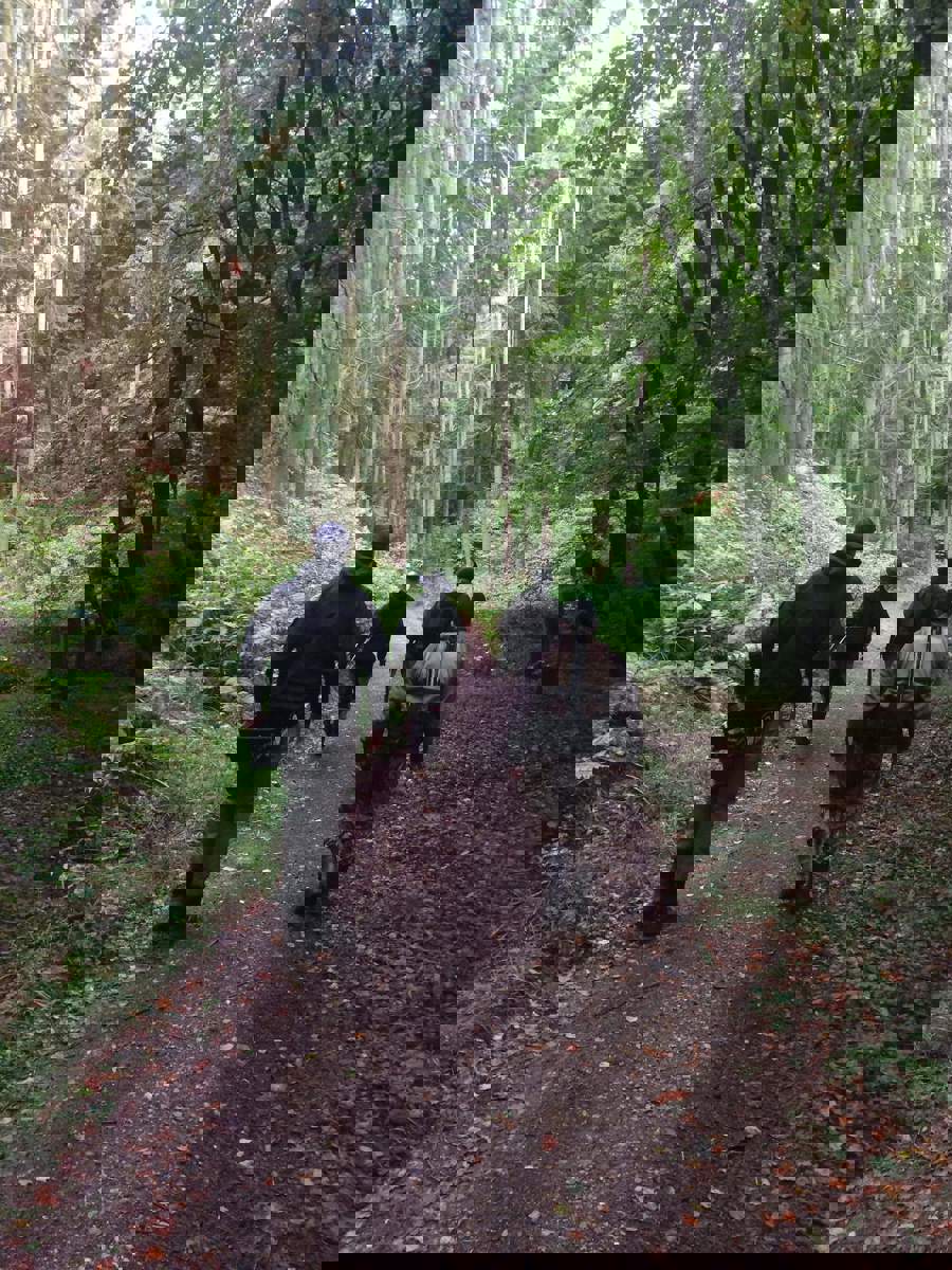received_271290990164107.jpeg