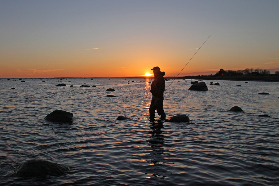 meerforellenangeln-lund-bei-stevns-klintseatrout-fishing.jpg