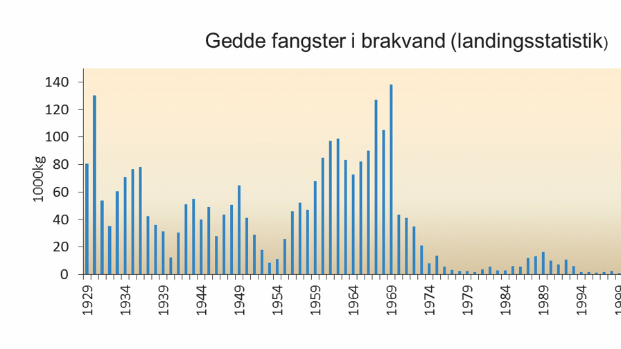 Landingsstatitsik gedder Østersøen 1929 - 2016. Fra Jacobsen & Berg, Brakvandsgedder i Danmark - Viden og Forvaltning, DTU Aqua 2018, Grafik Lene Jacobsen.jpg