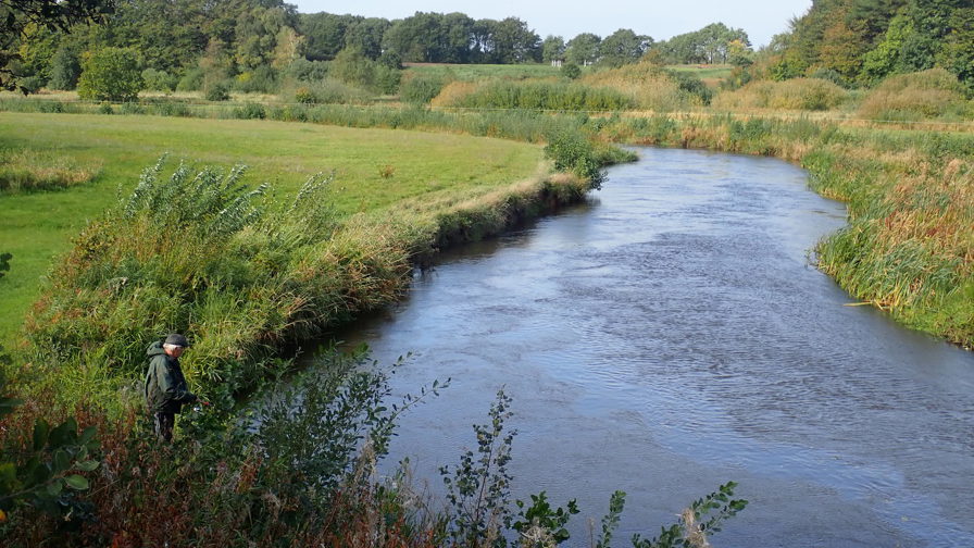 PA020096.JPG