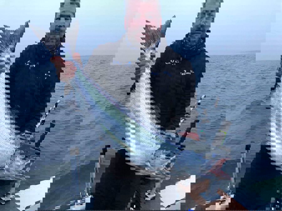 freddi6.jpg