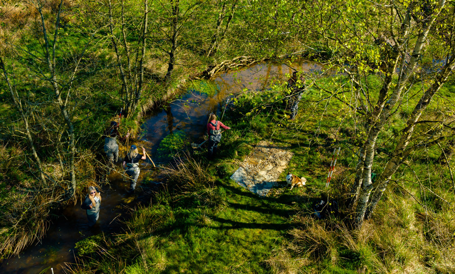 Rivermanagement2