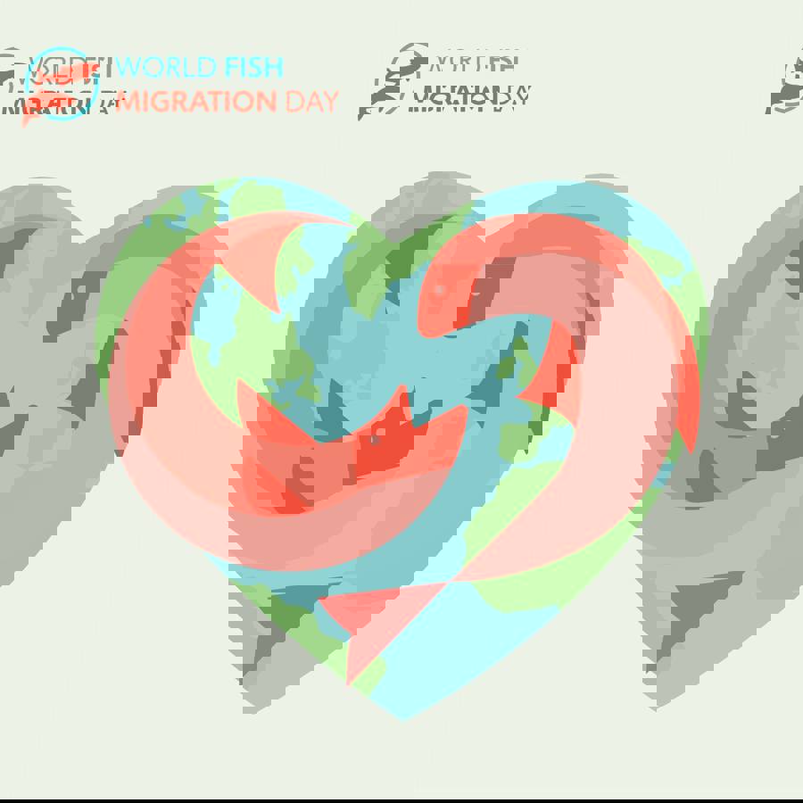 46517003_2197048430319315_4759748526261403648_o.jpg