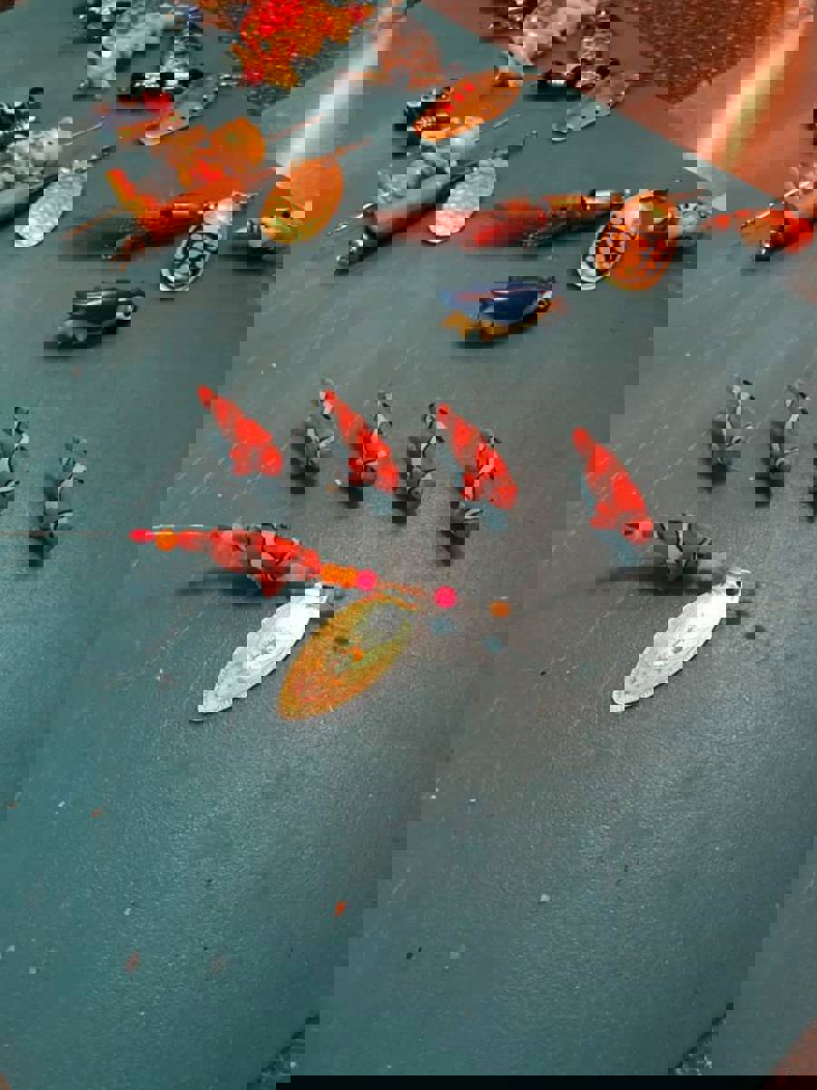 Nemo1