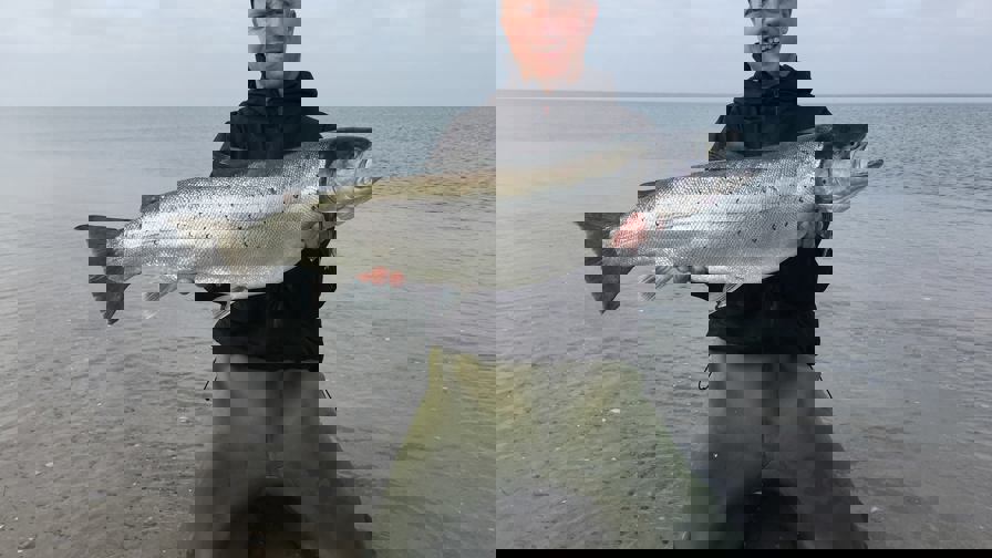 52303469_10217256691986051_4722079197764255744_o.jpg