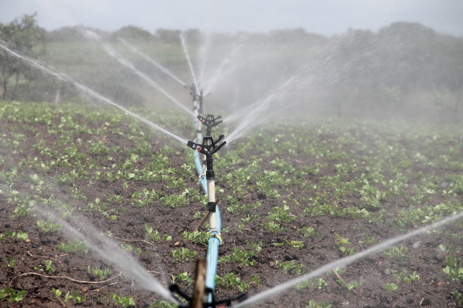 irrigation-588941_1920.jpg