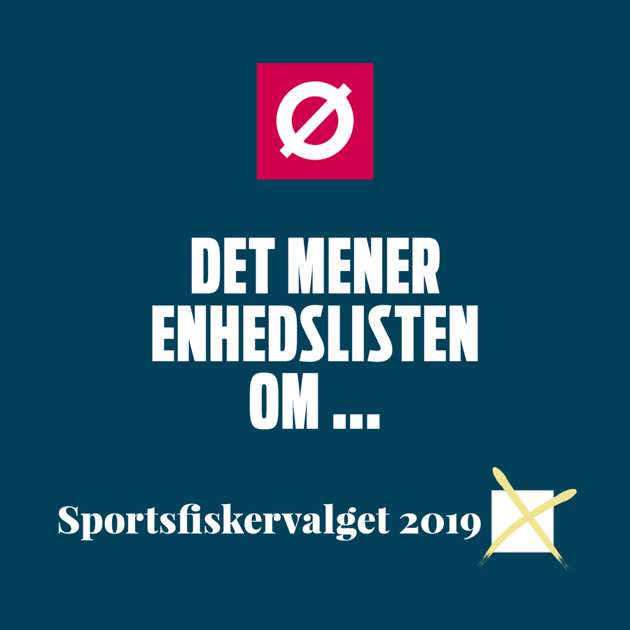 Det mener partierne4.jpg