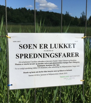 hedeland.JPG