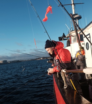 Torsk Øresund Cred Andreas Findling Rottem