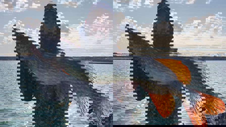 Received 662988777563350