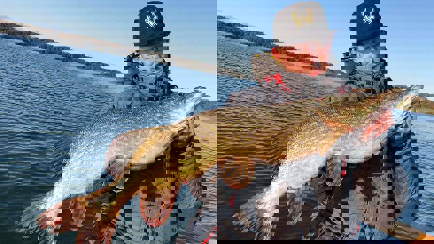 Received 395884801323317