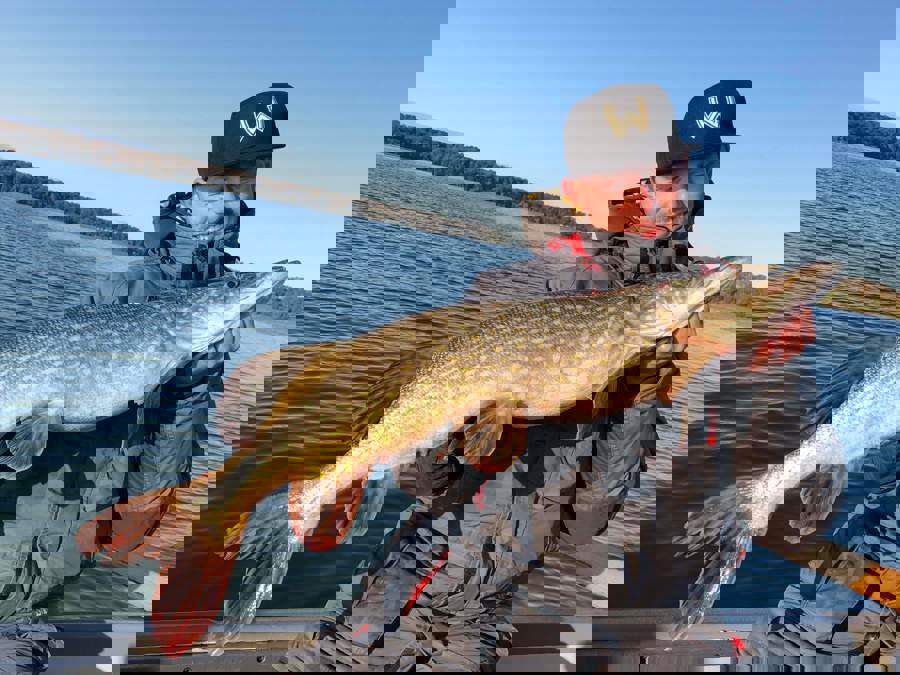 Received 395884801323317