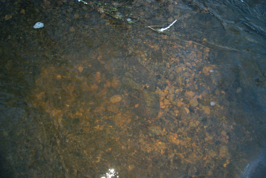 DSC05002
