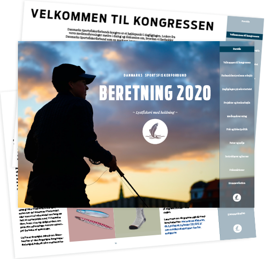 Beretning 2020 Web 3