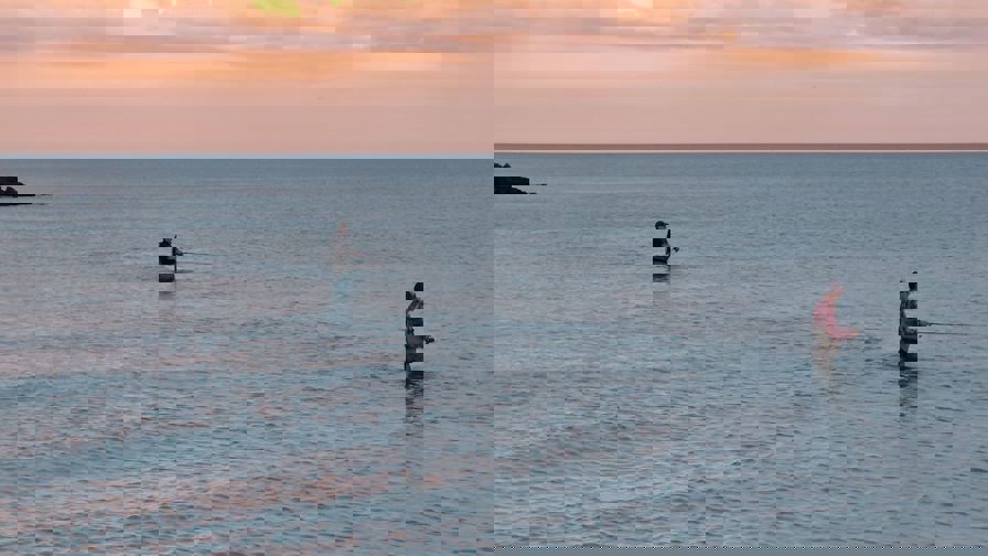 Havbars 3