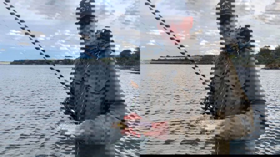 Gratisturkoldingfjord Web