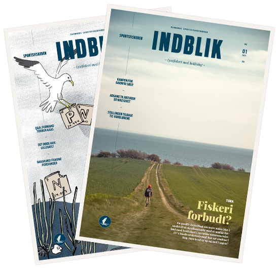 Forsider Indblik